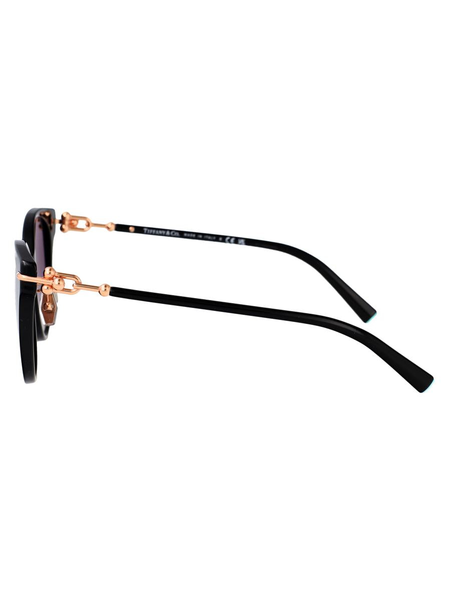 Tiffany & Co. Sunglasses