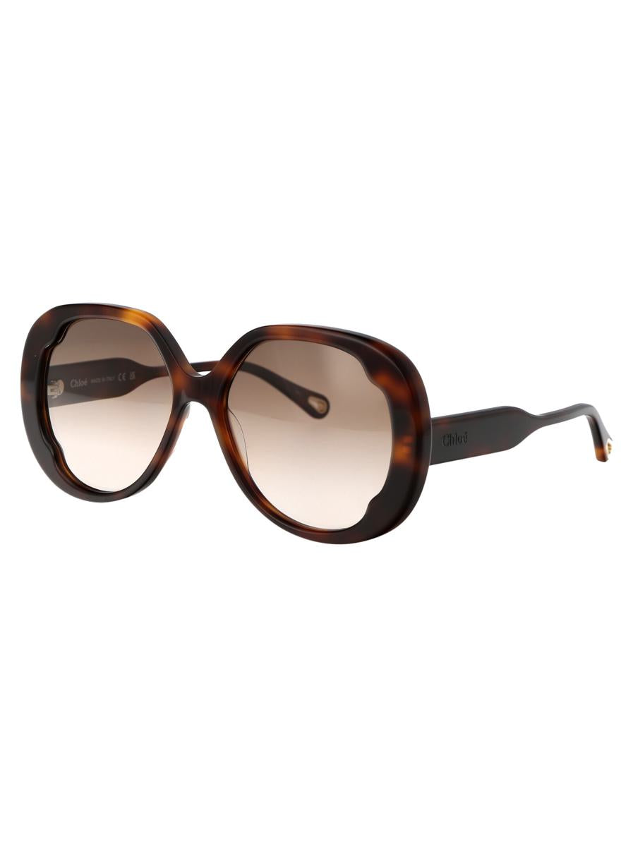 Chloé Sunglasses