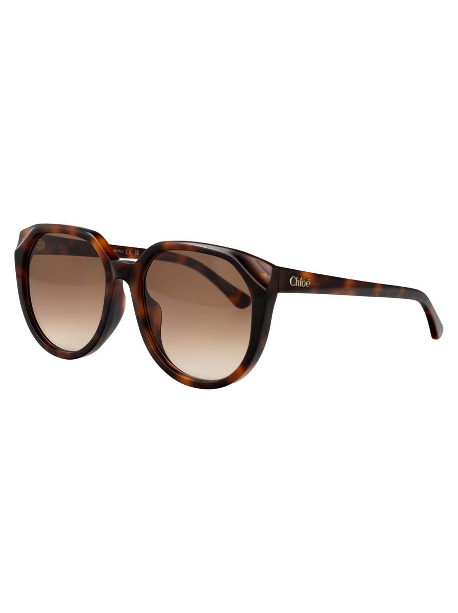 Chloé Sunglasses