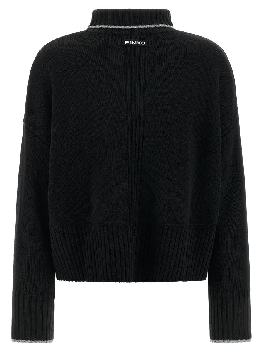 Pinko 'Falkland' Turtleneck Sweater