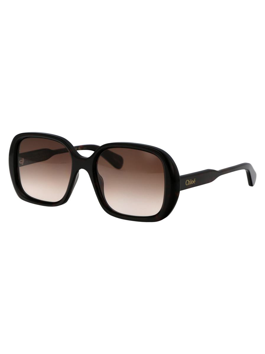 Chloé Sunglasses