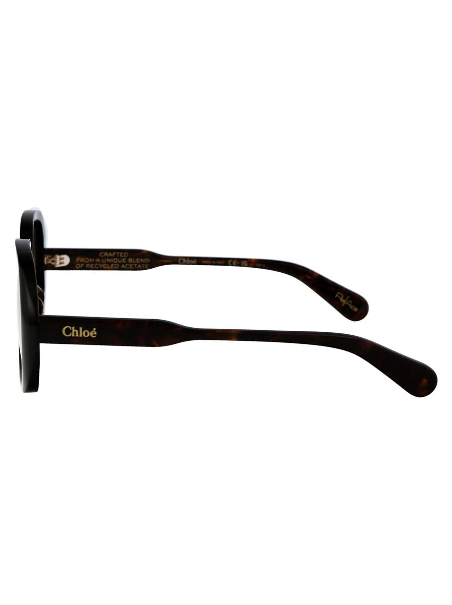 Chloé Sunglasses
