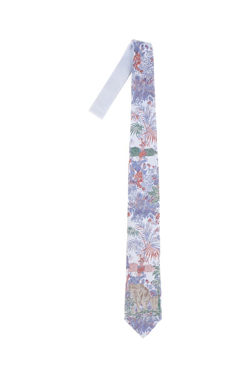 Etro Ties & Bow Ties