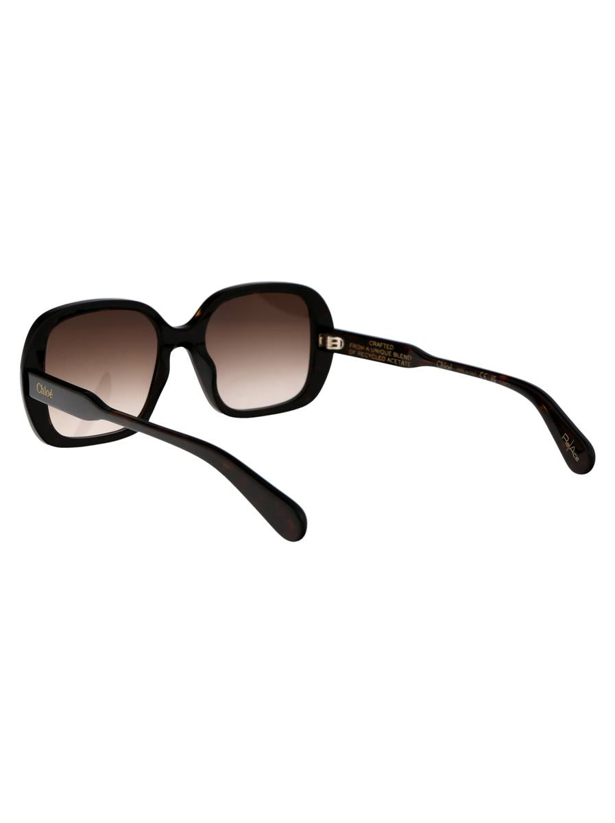 Chloé Sunglasses
