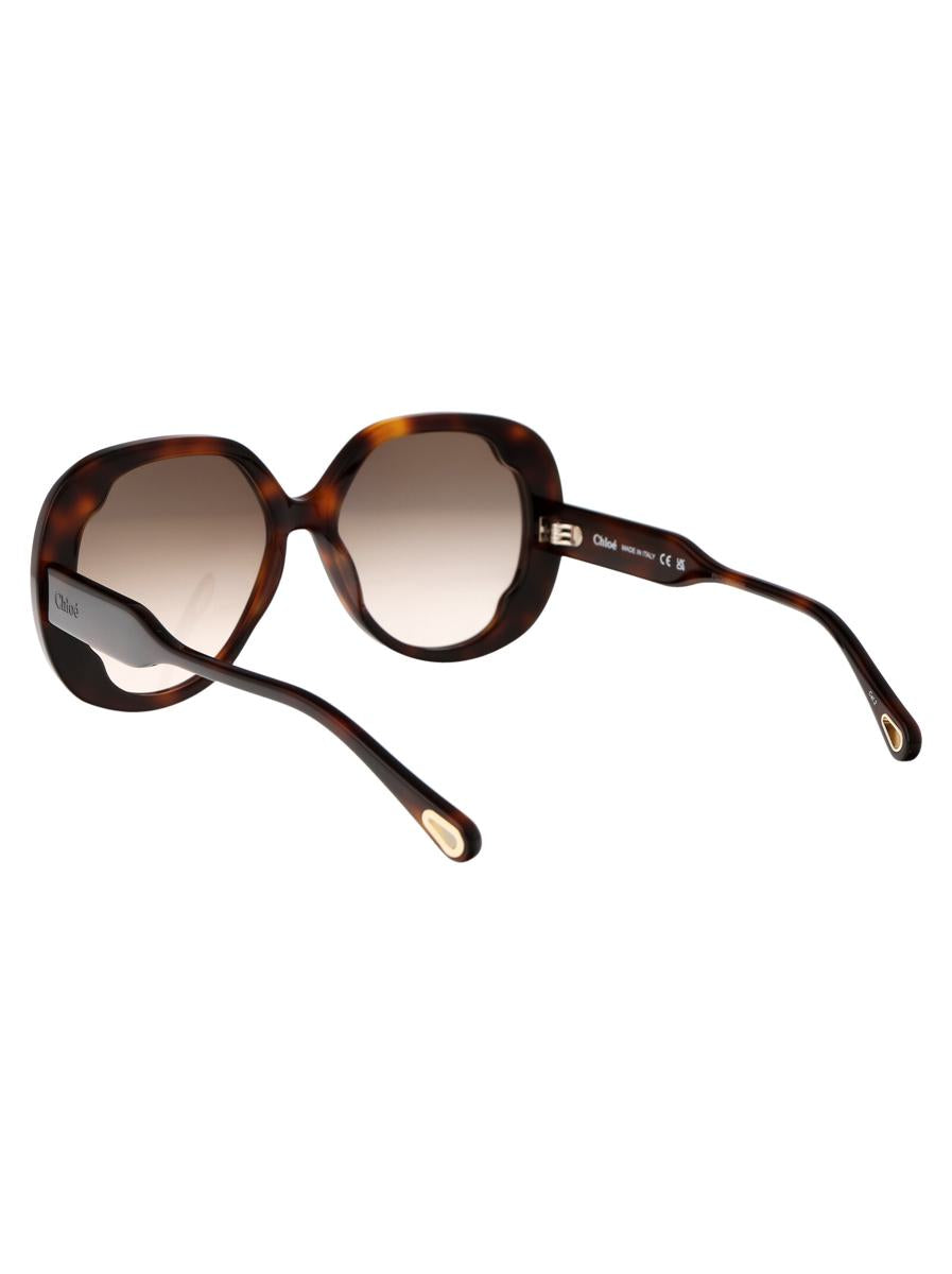 Chloé Sunglasses