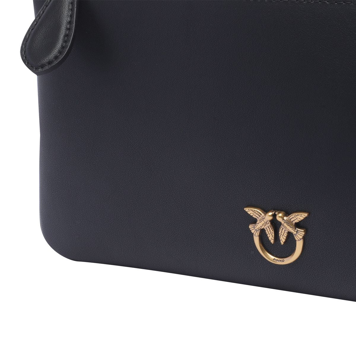 Pinko 'Horizontal Flat' Clutch