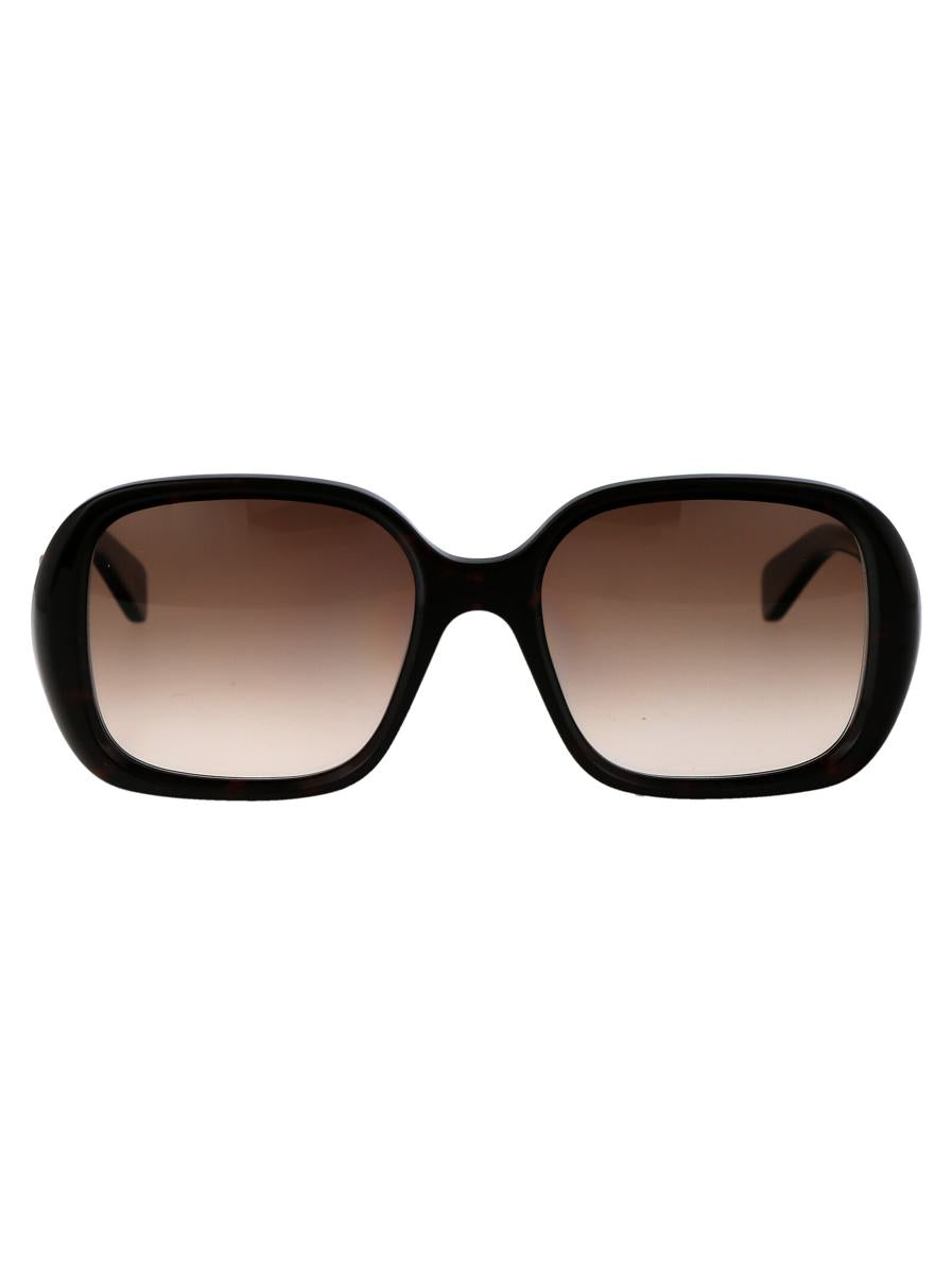 Chloé Sunglasses