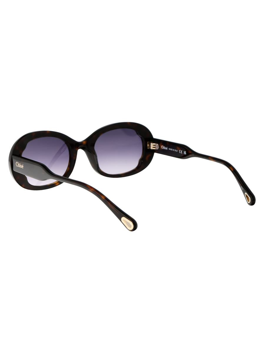 Chloé Sunglasses