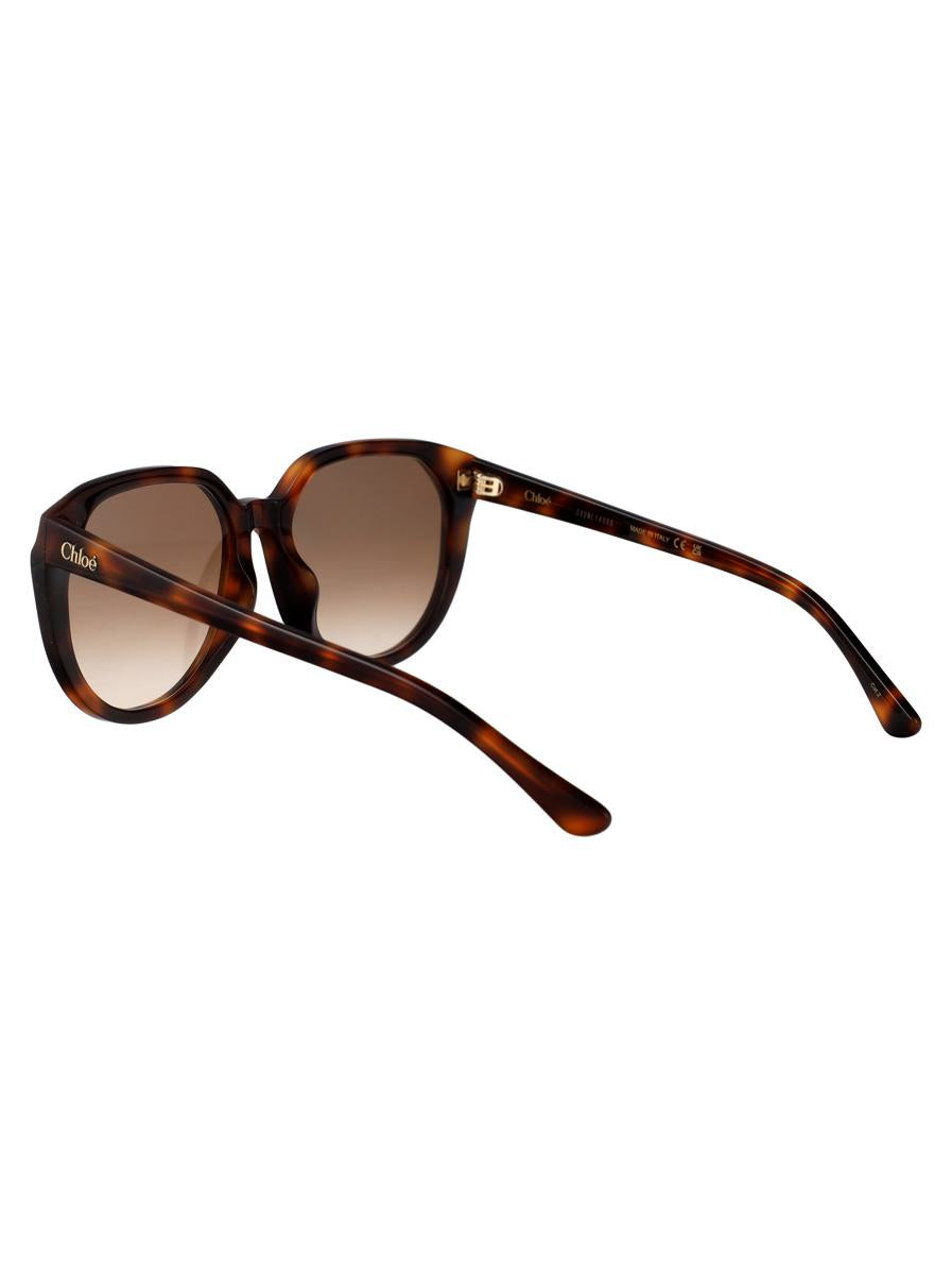 Chloé Sunglasses
