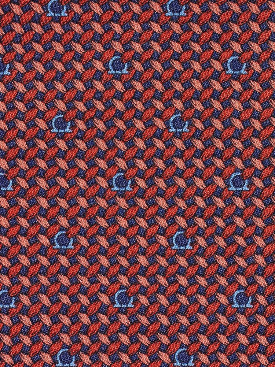 Salvatore Ferragamo Ties
