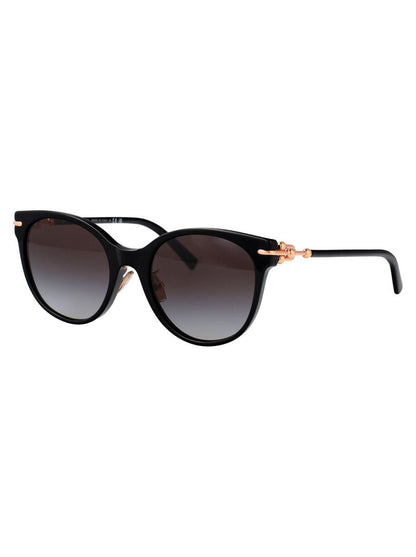Tiffany & Co. Sunglasses