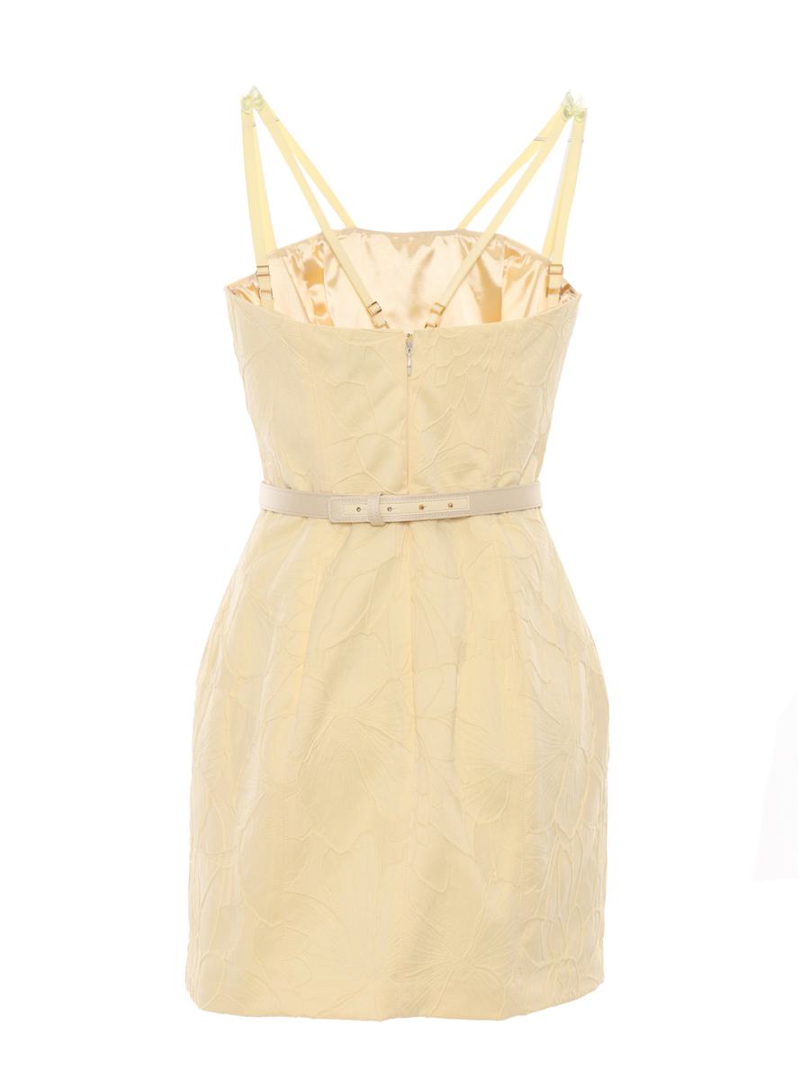 Elisabetta Franchi Midi Dress