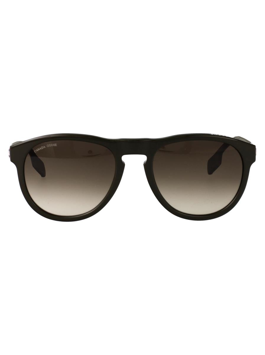 Canada Goose Sunglasses
