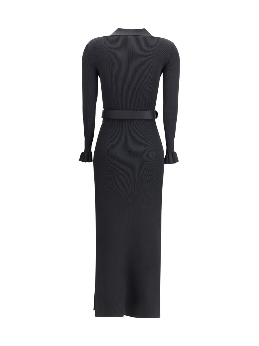 Self-Portrait Dresses