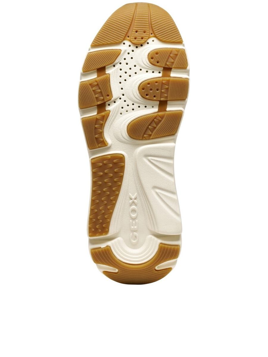 Geox Diamanta Shoes