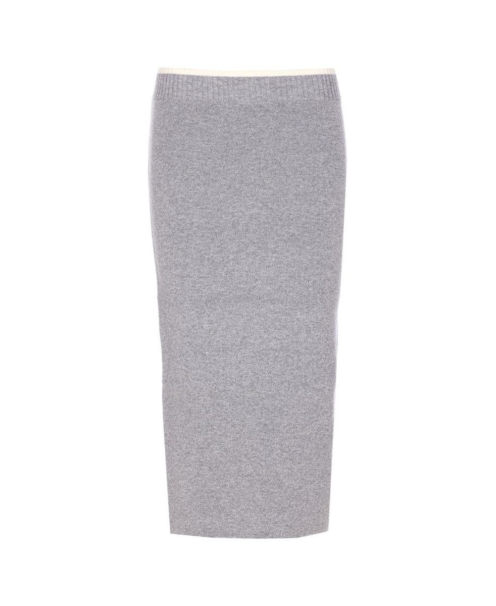Pinko Skirts