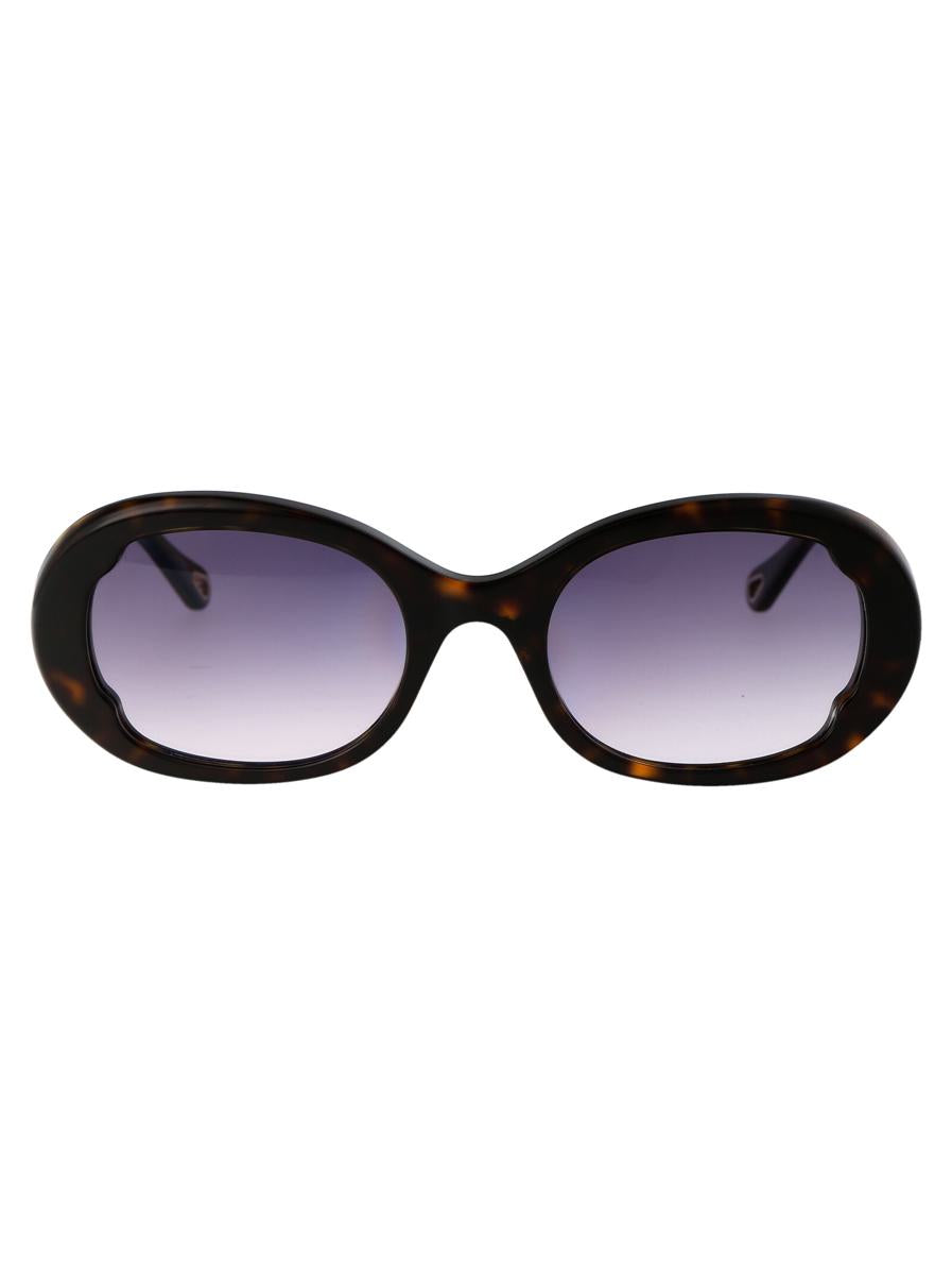 Chloé Sunglasses