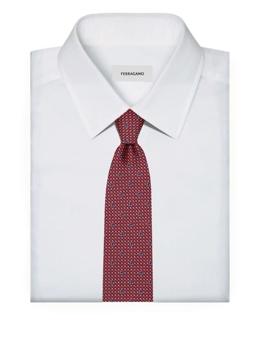 Salvatore Ferragamo Ties