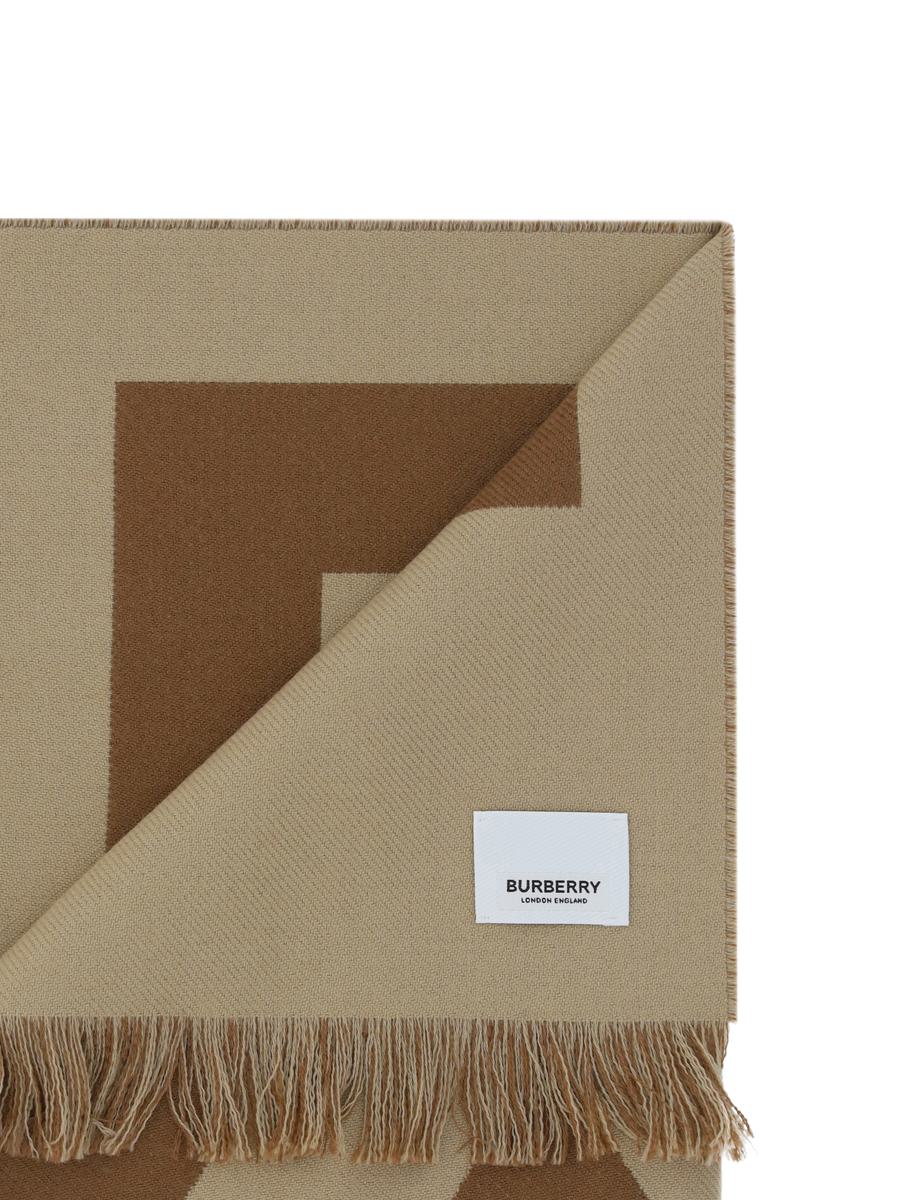 Burberry Scarves