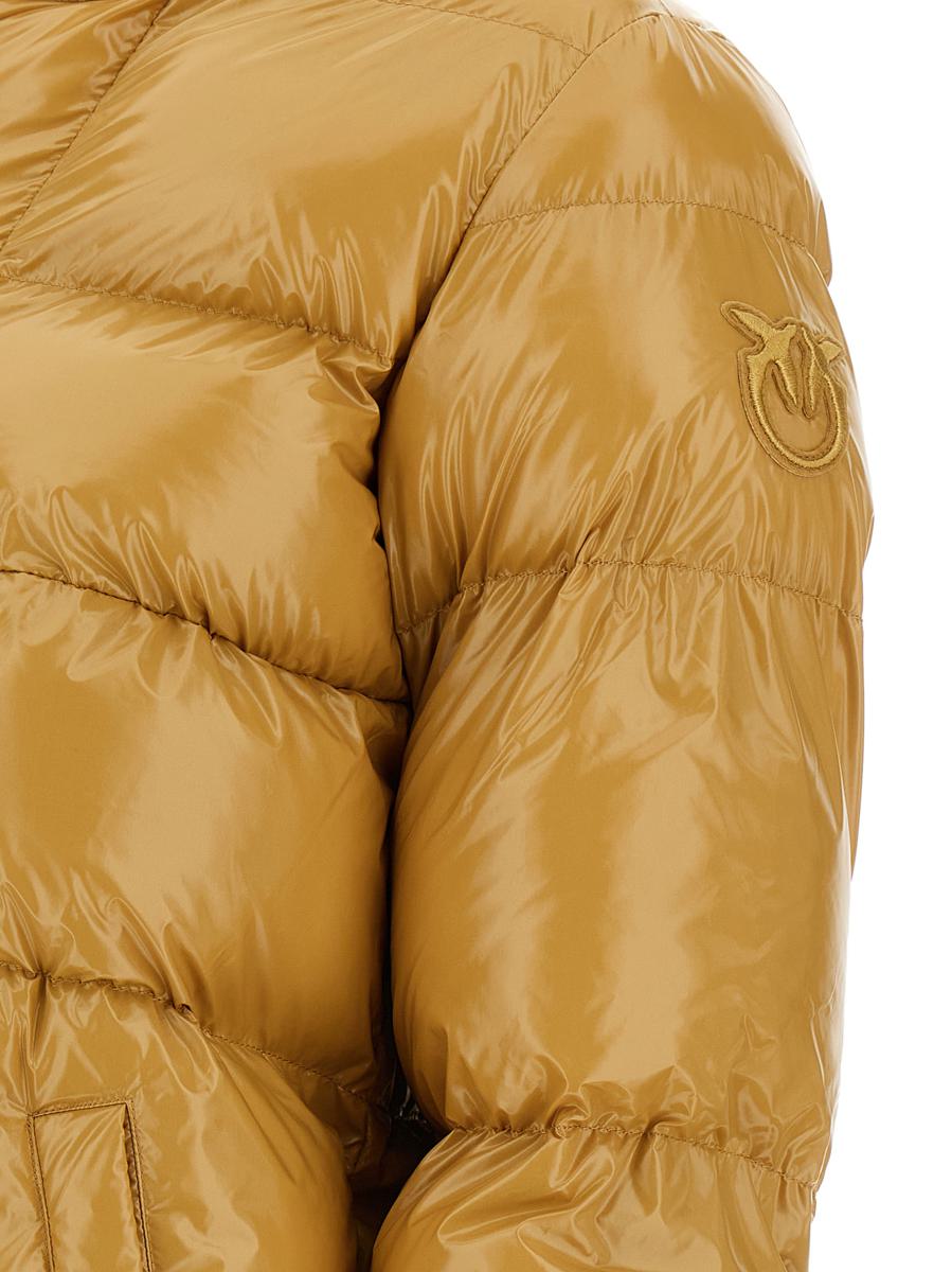 Pinko 'Eleodoro' Down Jacket