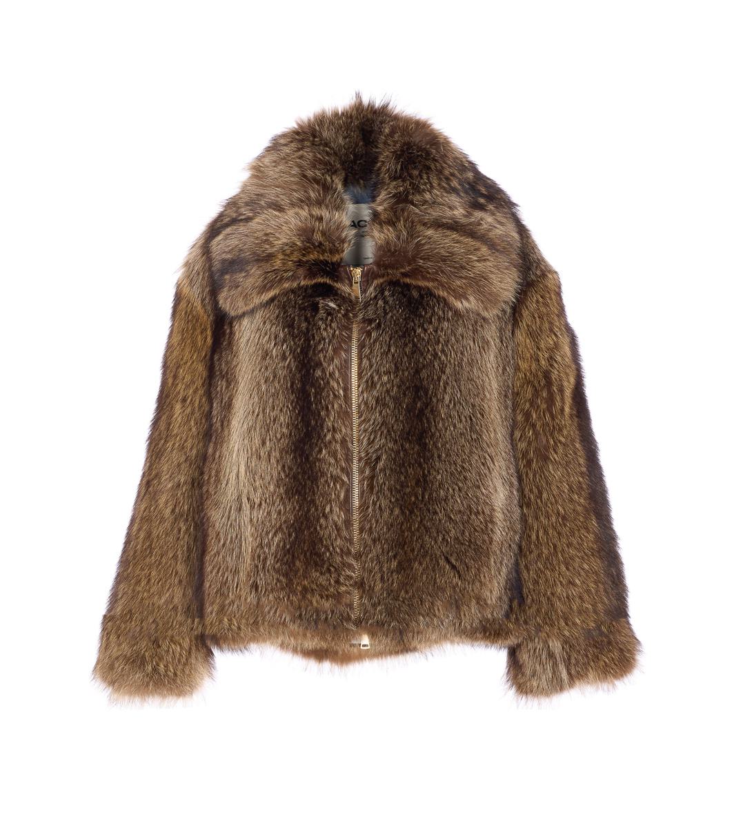 Iacopa Coats