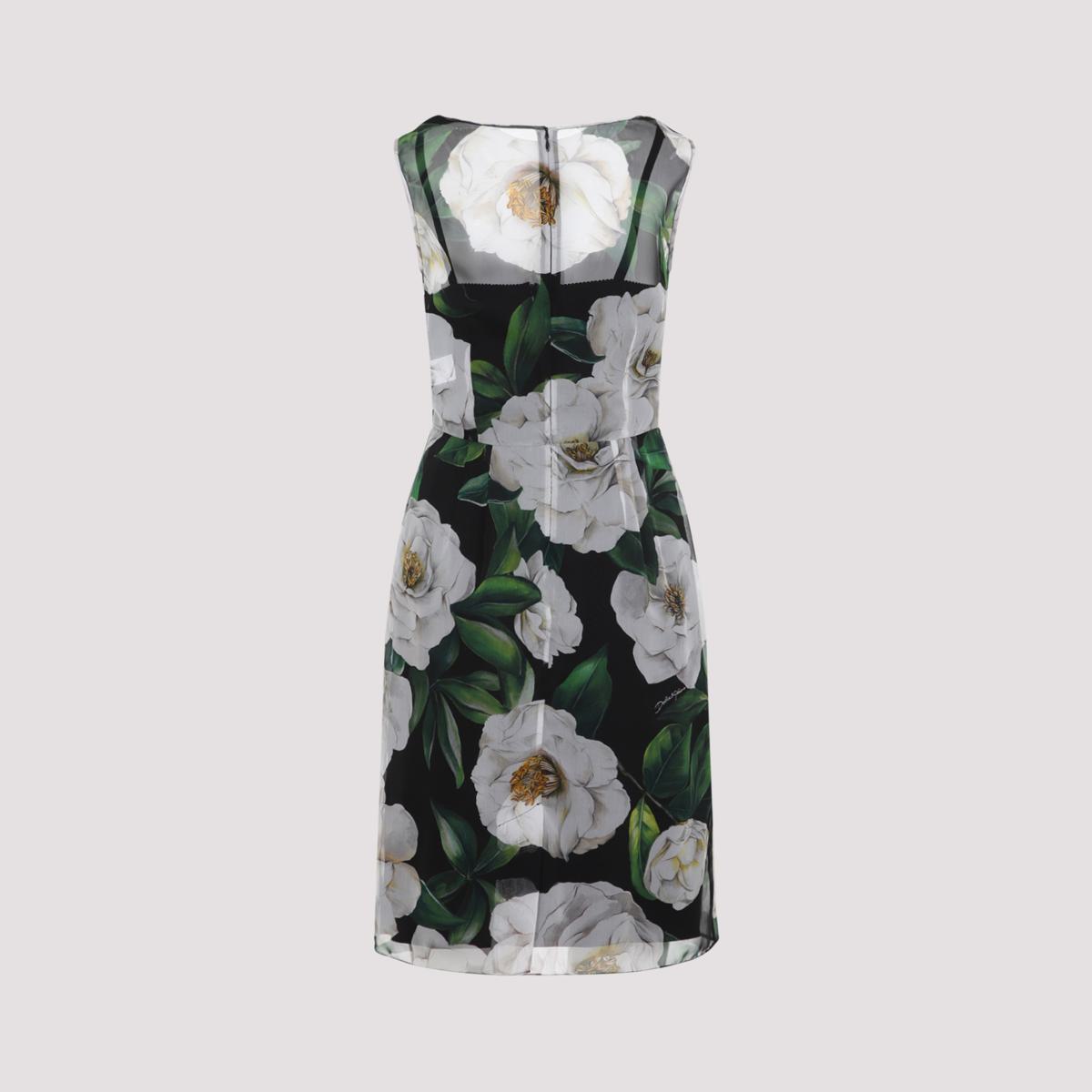 Dolce & Gabbana Dress