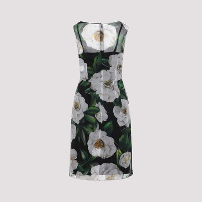 Dolce & Gabbana Dress