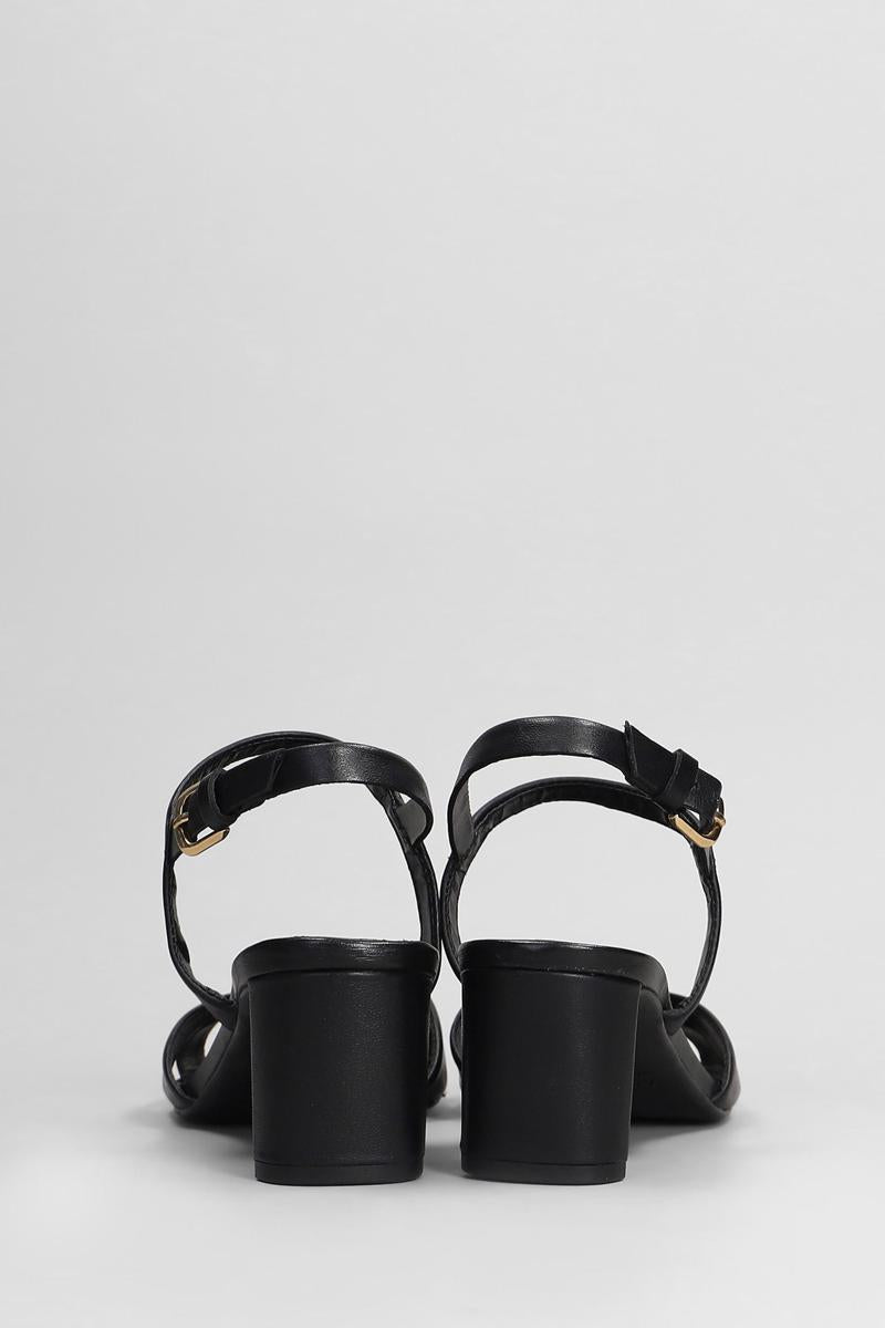 Arezzo Sandals