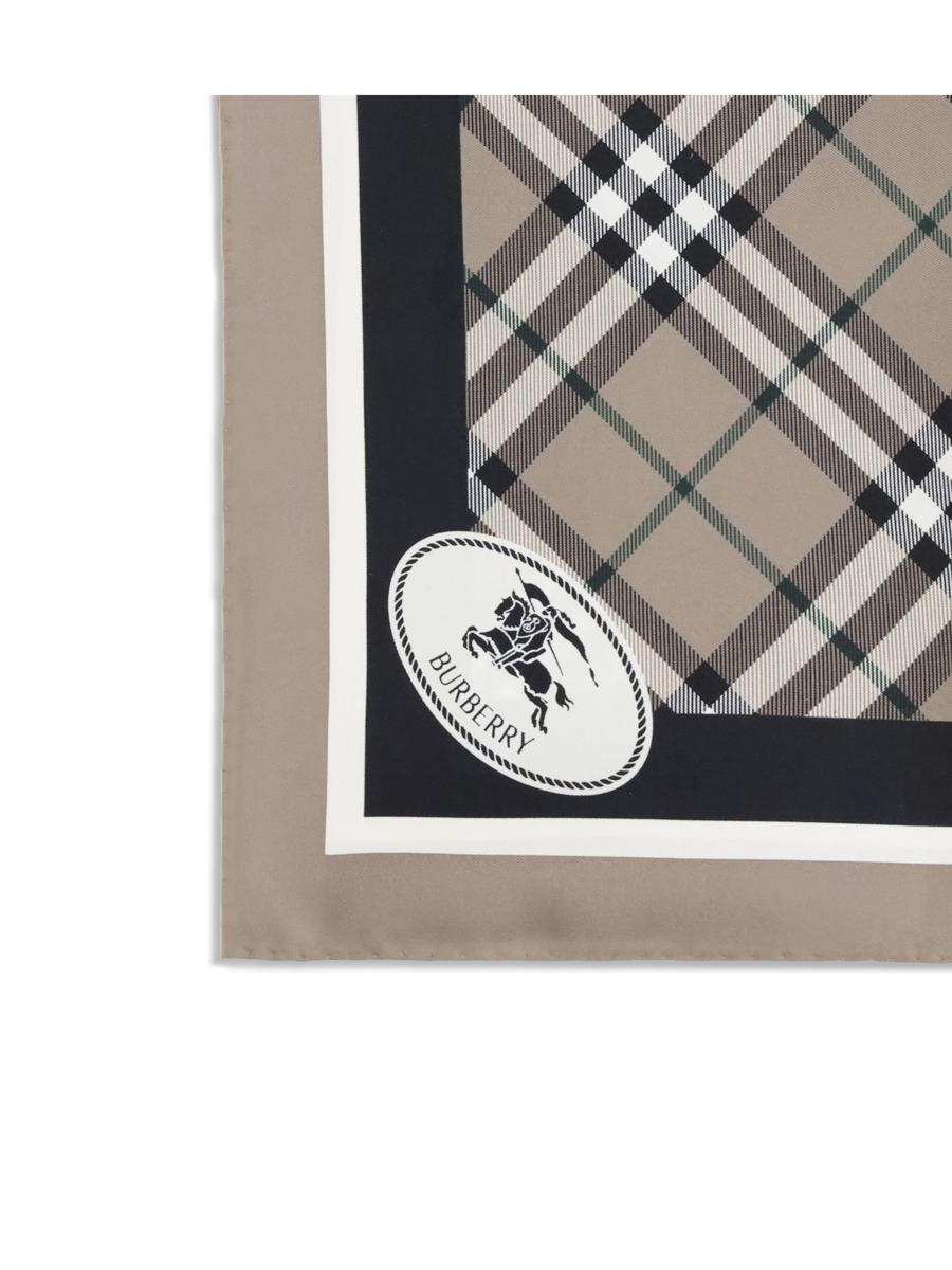 Burberry Scarves