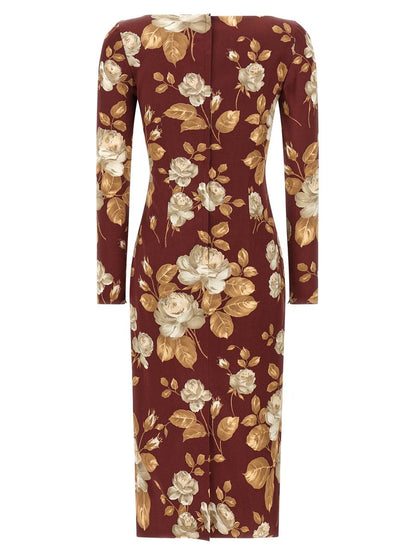 Dolce & Gabbana  Rose Print Dress