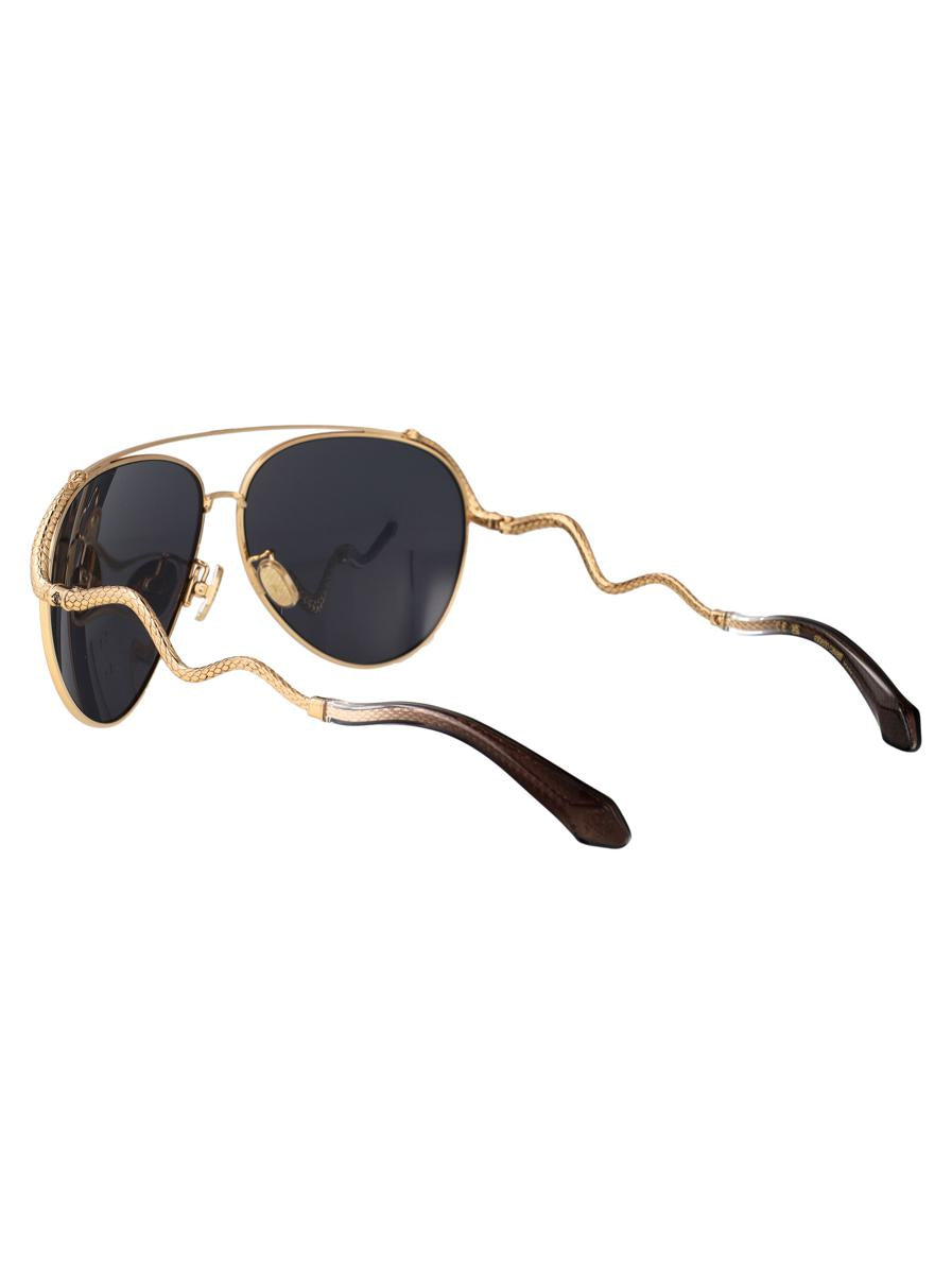 Roberto Cavalli Sunglasses