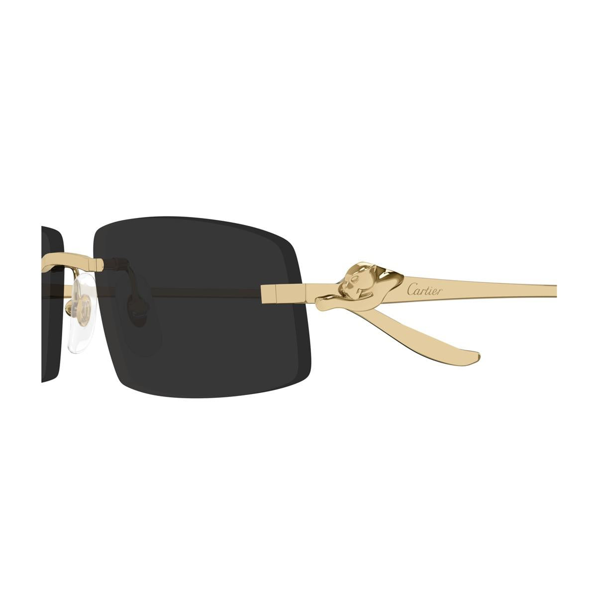 Cartier Ct0505S Panthère De Sunglasses